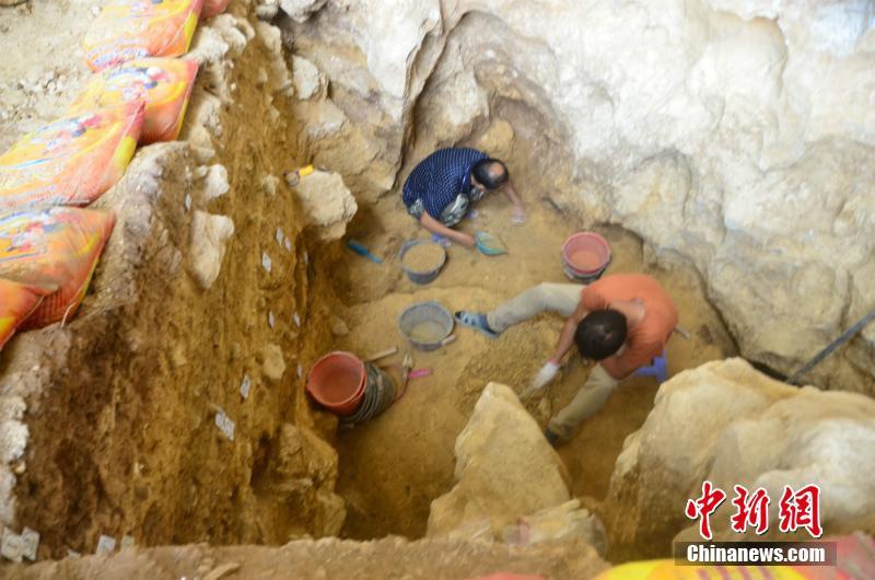黑龙江大兴安岭地下发现罕见22斤“太岁”