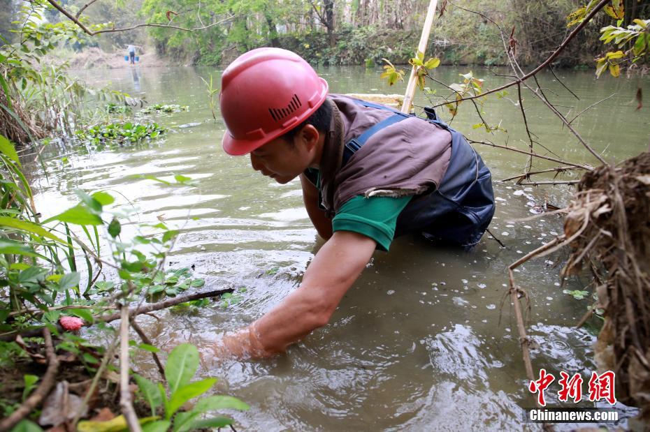 在亚马逊雨林工作的中国工程师 随时都要有颗“大心脏”