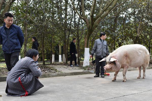 北京一便利店可“狗粪换鸡蛋” 老板：倡导居民文明养狗